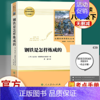 钢铁是怎样炼成的 人民教育出版社 [正版]钢铁是怎样炼成的经典常谈名人传给青年的十二封信苏菲平凡的世界原著完整版人民教育