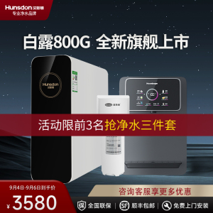 汉斯顿/Hunsdon净水器家用直饮自来水过滤厨房净化反渗透ro净水机800G大通量白露2L/min直饮出水