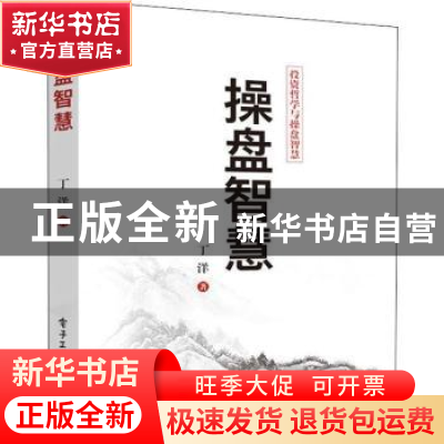 正版 操盘智慧 丁洋著 电子工业出版社 9787121359507 书籍