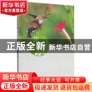 正版 花儿虫儿:2 肖家斌 厦门大学出版社 9787561581872 书籍