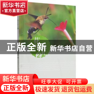 正版 花儿虫儿:2 肖家斌 厦门大学出版社 9787561581872 书籍