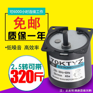 BONJEAN交流同步电机大力矩微型220电机马达40正反转齿轮永磁减机 30转/每分钟 电机+支架