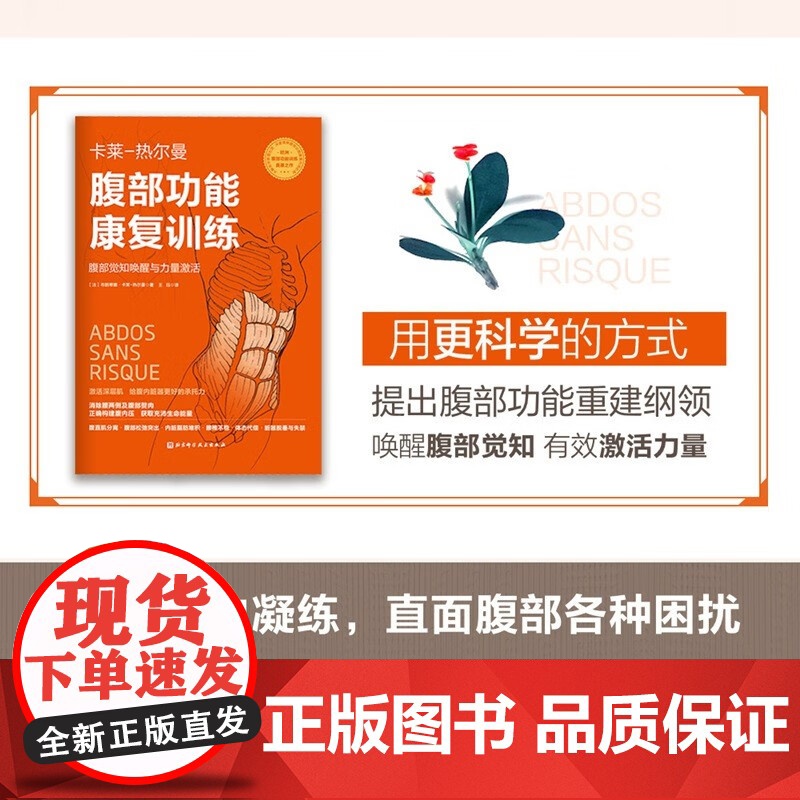 腹部功能康复训练 布朗蒂娜·卡莱-热尔曼 著 养生保健