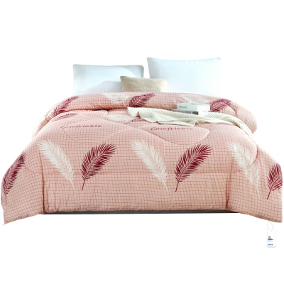 安居先森超柔磨毛金牌云丝被冬被单人150*200cm 1900g D2029(条)