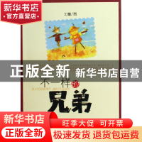 正版 不一样的兄弟 北董 山东美术 9787533030476 书籍