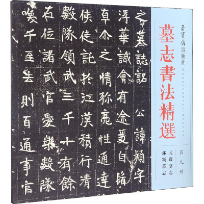 墓志书法精选.第九册,元遵墓志 郭颖墓志