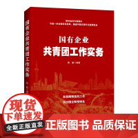国有企业 共青团工作实务