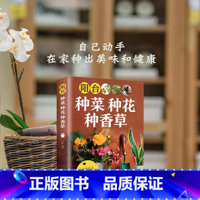 [正版]阳台种菜种花种香草彩图详解 花卉养护知识 养花教程花卉知识介绍种植栽培修剪指导繁殖法书籍鲜花品种介绍养护书室内