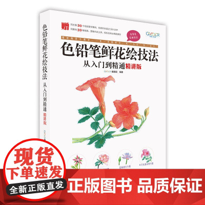色铅笔鲜花绘技法从入门到精通(精讲版)