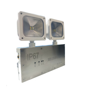 LHDQ 领航电器 LH3407 应急照明灯具 8W 应急时间90min 冷光 220V IP67 银色 8W