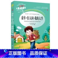 童年.在人间.我的大学 [正版]绿野仙踪三四年级课外书必读老师的快乐读书吧木偶奇遇记二年级上册下册课外阅读书籍秘密花园绿