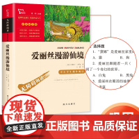 正版 智慧熊 爱丽丝漫游仙境 中小学生阅读指导丛书 彩插励志版无障碍阅读 中小学生阅读经典名著课外教辅书 南方出版社