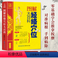 [正版]QHL 经络穴位大百科 人体穴位图解大全书籍手法教程书中医推拿按摩书籍 零基础学会全身养生书籍大全取穴的针灸艾