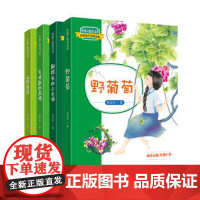 #正版##经典悦读文库 葛翠琳作品精选集:野葡萄,山林童话,会唱歌的画像,翻跟头的小木偶 共四册 童话大师