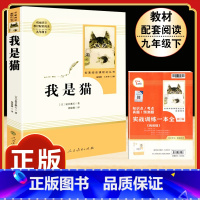 [人教版]我是猫 [正版]艾青诗选 原著书籍人教版无删减 九年级上册必读课外阅读书目读 9初中生初三语文配套中学生经典名