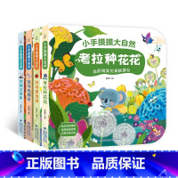 小手摸摸大自然套装[大开本4册] [正版]宝宝的第一本触摸书 1岁半立体书宝宝书本撕不烂立体儿童书籍幼儿读物0到2-3岁