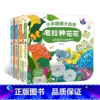 小手摸摸大自然套装[大开本4册] [正版]宝宝的第一本触摸书 1岁半立体书宝宝书本撕不烂立体儿童书籍幼儿读物0到2-3岁