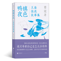 音像鸭镇夜色:王奎张亮故事集曹寇著
