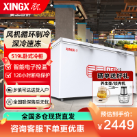星星(XINGX)BD/BC-519E 519升 单温 冰柜 卧式冷柜 商用大冷柜 直冷顶开门 电脑控温 温度显示