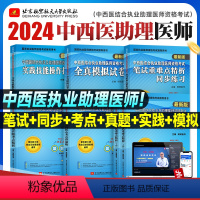 [正版]全套新版2024昭昭中西医结合执业及助理医师资格考试笔试重难点精析同步练习全真模拟实践技能精选真题考点精析笔试
