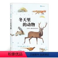 [正版]浪花朵朵童书 冬天里的动物 德国托马斯穆勒自然科普作品 发现近100种动物生存小技能 7岁以上儿童科普书籍