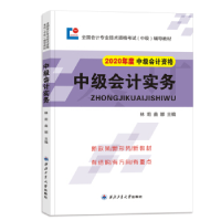 正版新书]2019全国中级会计职称考试辅导教材19中级会计实务会计