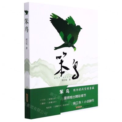 [N]笨鸟-9787539672670