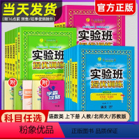 [提优训练+大考卷]语数英6本★江苏专用 六年级下 [正版]2024秋实验班提优训练一二年级三四五六年级上册下册语文数学