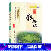 下册七年级-地理湘教版 初中通用 [正版]2023鼎尖教案初中地理湘教版7七8八年级上下册教参教师备课用书老师辅助教学设
