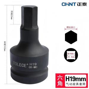 正泰(CHNT) 内六角套筒 H19/1(单位:件)
