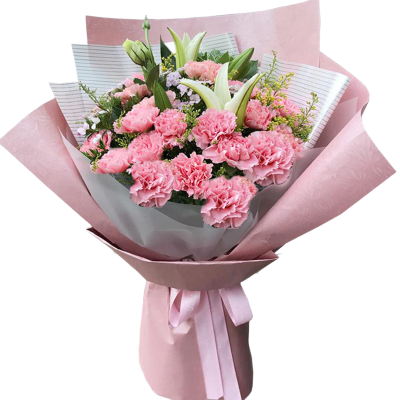 全国同城配送生日送花百合康乃馨花束北京鲜花速递嘉兴乐清海宁平湖桐乡诸暨信阳济源焦作平顶山南阳鹤壁鲜花店母亲节教师节送花