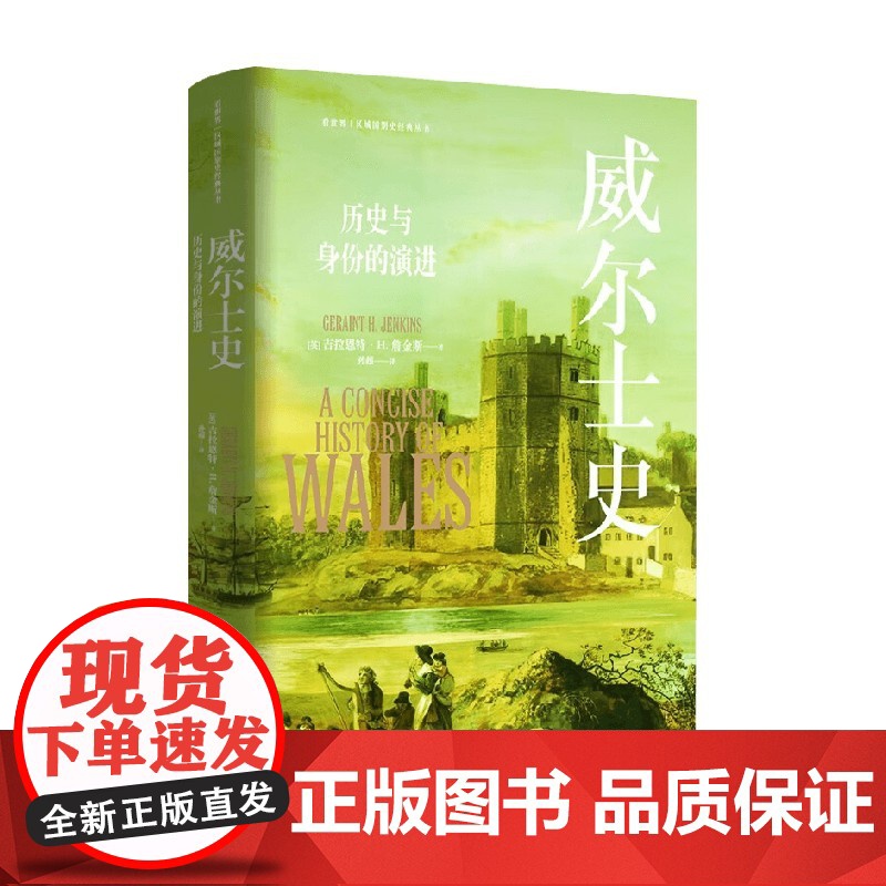 威尔士史 历史与身份的演进 吉拉恩特·H.詹金斯 著 历史