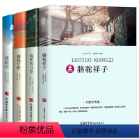 [正版]学生版:七年级课外必读书4册 骆驼祥子老舍/海底两万里/朝花夕拾鲁迅/西游记 原版原著 初中生初一人教版书籍7年