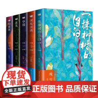 正版新书 河东河西+一株柳树的自白+华都 +甜蜜蜜+落英(5册)
