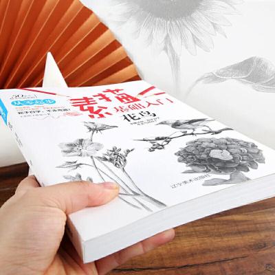 正版新书]素描基础入门--花鸟七彩绘工作室 绘9787531483175