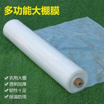 迅迈 PE塑料薄膜加厚大棚膜防雨布包装膜 6丝厚 [长160米宽5米]