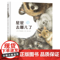 星星去哪儿了 精装绘本儿童图画书低龄幼儿语言充满趣味的故事锻炼语言能力发展睡前请坐哪里下雨绘本