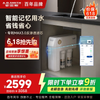 AO史密斯净水器全时高水效专利MAX3.0反渗透滤芯1.6升/分钟升级款厨下式直饮净水机R1600HWi-EE