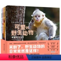可爱的野生动物:全5册 [正版]可爱的动物 全5册 平装软皮封面3-6岁动物吃什么生活习性知识科普百科全书趣味图画故事书