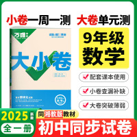 2025版万唯中考 大小卷九年级数学全一册湘教版初中专题训练初三数学9年级单元同步训练试卷知识大全期中模拟期末复习冲刺