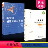 [正版] 班主任工作丛书2本套装 班集体问题诊断与建设方略+微班会创意设计与实施 班主任用书 共2册 华东师大出版社