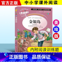 金银岛 [正版]绿野仙踪三四年级课外书必读老师的快乐读书吧木偶奇遇记二年级上册下册课外阅读书籍秘密花园绿山墙的安妮小学生