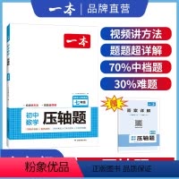 七年级数学压轴题 初中通用 [正版]2024初中数学压轴题七八九年级数学有理数方程初三数学必刷题上下册通用中考数学专题训