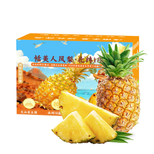 [西沛生鲜]海南金钻凤梨 净重2.5斤 1-2个 中果 当季新鲜水果 酸甜多汁 产地精选