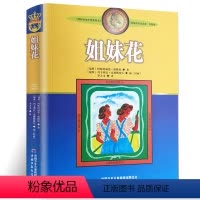 [正版]姐妹花书 美绘版 林格伦作品选集美绘版 中小学生课外阅读童话故事书三四五年级 儿童文学老师书目 中国少年儿童出
