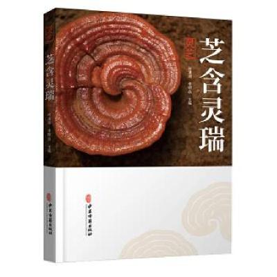 正版新书]芝含灵瑞:灵芝何清湖9787515220420