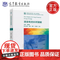 正版 液流电池长时储能 徐春明 徐泉 周洋 牛迎春 王屾 中国石油大学 储能科学与工程专业教材 高等教育出版社