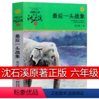 [正版]后一头战象 沈石溪的书六年级动物小说品藏书系单本书全集浙江少年儿童出版社小学生课外阅读书籍6年级初中生经典长篇