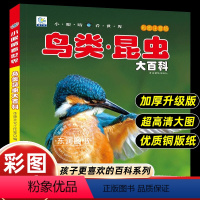 [彩图注音版]鸟类.昆虫大百科 [正版]小眼睛看世界昆虫鸟类大百科全书认识图鉴中国野外观察手册儿童彩图注音版小学生一二年