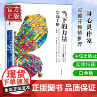 [正版书籍]当下的力量实践手册(白金版)托利著 华语心灵书作家张德芬堪称青春心灵励志/成功/激励法则经典读物